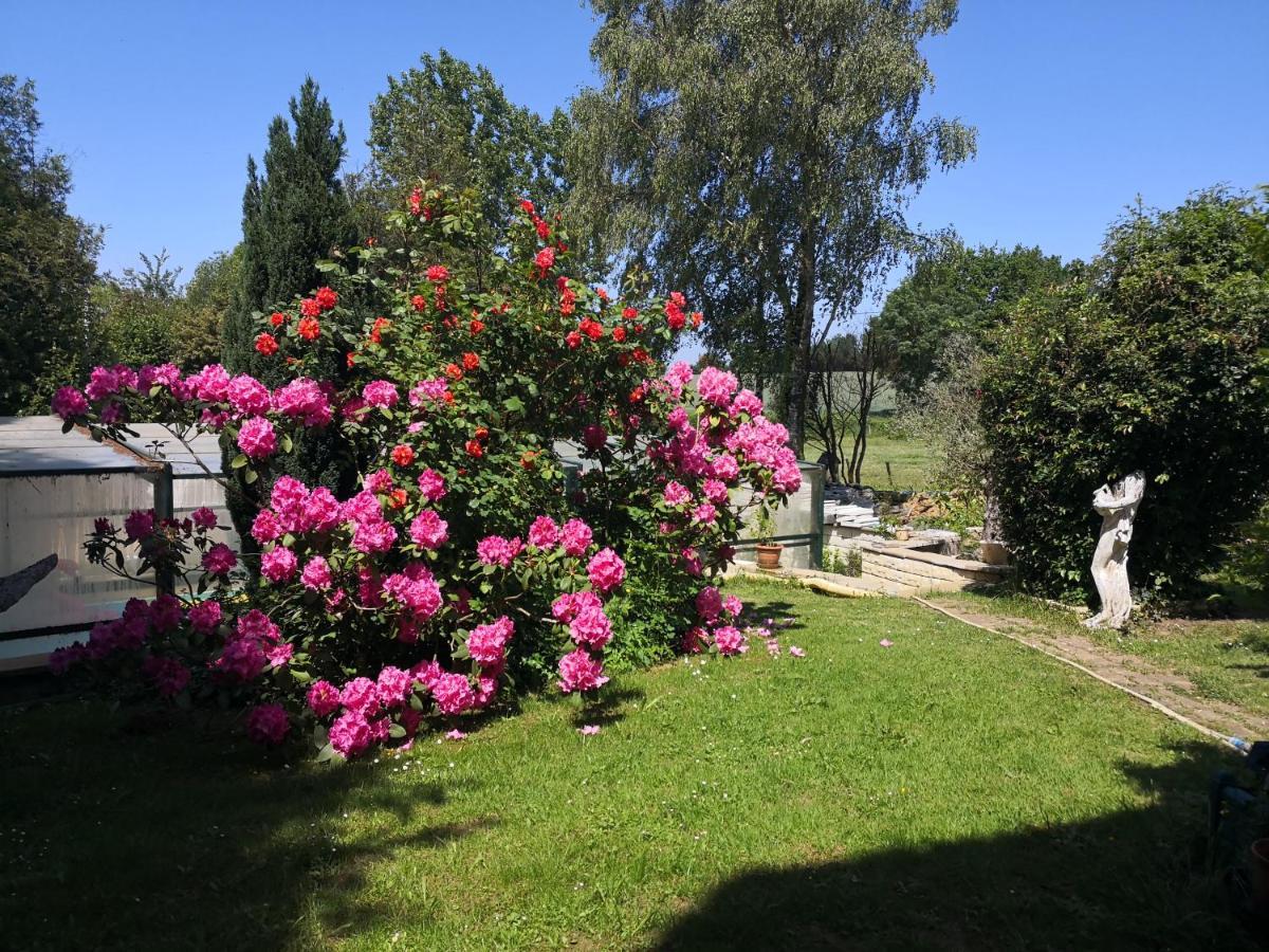 مبيت وإفطار Secondigny Au Jardin Fleuri المظهر الخارجي الصورة